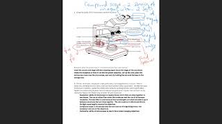 Lab Practical 1Study Guide [upl. by Udell505]