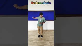 Harlem shake  Hip hop  Dance Video  lalitstyle [upl. by Eilata]