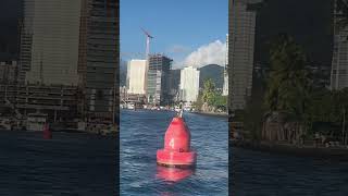 Sailing By Waikiki Surfers On Catamaran Snorkeling Tour ￼ [upl. by Becka135]