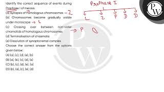 Identify the correct sequence of events during Prophase I of meiosisa Synapsis of homologous [upl. by Mariska]