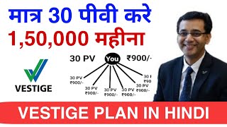 4 Month plan 2 Lakh per Month incom  Vestige plan in hindi  30 pv vestige plan  vestige [upl. by Trilbee]