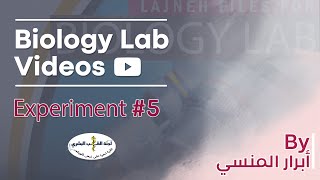 Biology Lab  L5  Done By أبرار المنسي [upl. by Dorrie]