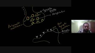 Neural Control and Coordination  Transmission of Nerve Impulse  12th NEET Biology  13th Nov 2024 [upl. by Hogen]