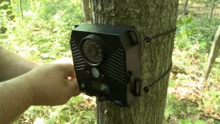 Wildgame Innovations Trail Camera with Uncle Millie [upl. by Ijic320]