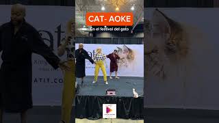 FESTIVAL DEL GATO Cat festival CAT AOKE cat [upl. by Apostles941]