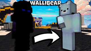 Minecraft but Im Wallibear Hypixel Bedwars [upl. by Sol]