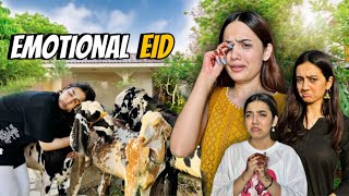 Qurbani ke Time sub Rou Paray 😭Eid ki Tayariyan😍Sistrology [upl. by Olenolin]