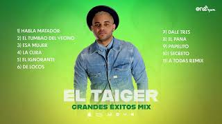 El Taiger Mix  Éxitos 2022  Cubaton [upl. by Clova957]