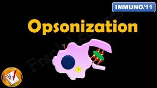 Opsonization FLImmuno11 [upl. by Huldah]