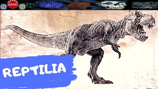 REPTILIA AMNIOTA PALING AWAL  DIRGA BIOLOGY CHANNEL [upl. by Atinniuq]