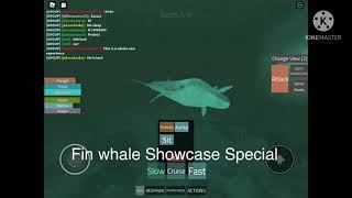 Roblox HOLOCENE Mobile  Fin Whale Showcase [upl. by Iaht997]