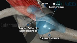 🌟EXAMEN DE LAS EXTREMIDADES SUPERIORES🌟 [upl. by Olrak]