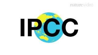 25 years of the IPCC  Nature Video [upl. by Gnilrits]