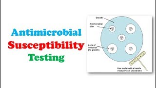 Microbiology 🔤  Antimicrobial Susceptibility Testing [upl. by Nelad]