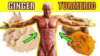 13 Amazing Health Benefits of Turmeric and Ginger Together [upl. by Nylzaj]