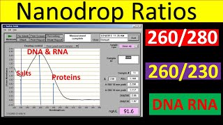 Using a spectrophotometer [upl. by Chev]