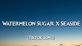 Harry Styles  Watermelon Sugar x Seaside  SEB Lyrics TikTok Song [upl. by Aicilanna]