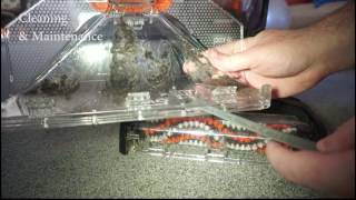 Bissell Proheat 2x revolution pet deep cleaner Manual how to use clean and maintain [upl. by Niggem]