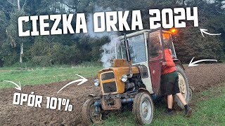 🇵🇱Ciężka Orka 2024➜Trzydziestka na przepale☆Ursus c330 vs UG2🔥Opór 101🔥Daniel12 [upl. by Jeremie]