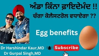 Egg increases good cholesterol ਅੰਡੇ ਦੇ ਫ਼ਾਇਦੇ  ਦੇਸੀ ਵਧੀਆ ਹੈ ਕਿ ਨਹੀਂ  ਖੋਜ ਕੀ ਕਹਿੰਦੀ ਹੈ 195 [upl. by Akehsar]