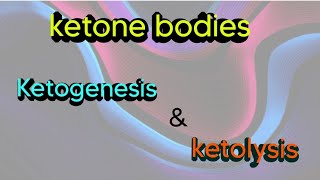 ketone bodies  ketogenesis amp ketolysisbiochemistry metabolism catabolism ketones [upl. by Mcneil587]