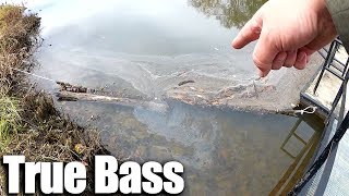 Easy Fishing with a Float amp Drop Shot  Catching True Bass Stripe [upl. by Marja]