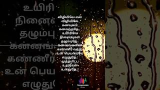 Vizhiyile en vizhiyile sad whatsapp songtamilmusic trendingshorts sadwhatsappstatus lovestatus [upl. by Ssitruc]