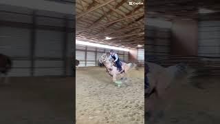 horse nhsra equestrian nhra horsefan rodeo [upl. by Ruhtra]