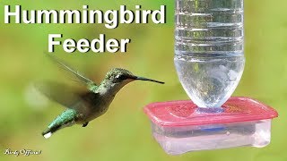 DIY Hummingbird Feeder Homemade  How To Make A Hummingbird Feeder From Plastic Bottle [upl. by Carmina]