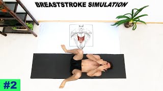 Breaststroke simulation workout  Episode 2  Dryland for swimmers [upl. by Eitsyrk]