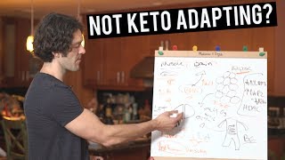 Keto Adaptation Struggles Consider This [upl. by Yeuh358]