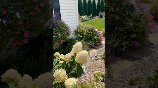 MUSTSEE Flowers on the August Midwest Garden Tour 😍🌸garden gardentour [upl. by Cavallaro]