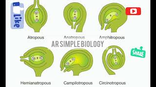 types of ovule [upl. by Eimmis]