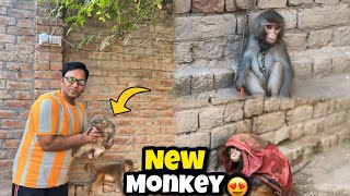 Samad Pets Vlog Walo Ki Feuona Monkey Hum Nay Lay Li😍Yeh Bohat Shaitan Hai🤬 [upl. by Nerin477]