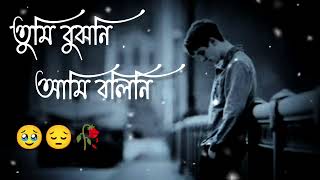 তুমি বুঝনি আমি বলিনি Tumi Bujhoni Ami Bolini Tumi Sopno Te Kno Aso ni 🥹😔🥀 [upl. by Hutchinson318]