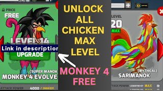 Manok na pula unlock all chicken 72  Unlock monkey 4 evolve  How to unlock all chicken in manok [upl. by Fifine]