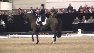 Gabriele RundKöllner amp Rossinol Dressur S KKCup Münster 2014 [upl. by Hinze]