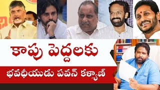 Pawan Kalyan Public letter to Kapu CommunityMudragadaVangaveeti RadhaKKalyaanDileepSunkara [upl. by Lochner154]