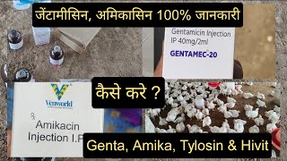 Genta Amikacin Injection for Poultry  इंजेक्शन की डोज़ कैसे बनाएं  Tylosin For Broiler [upl. by Nilac]