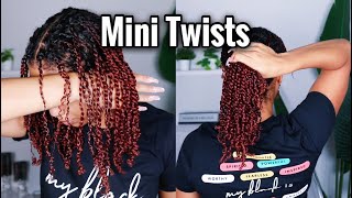 I TRIED MINI TWISTS ON MY WET NATURAL HAIR [upl. by Kosey]