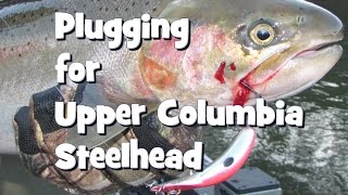 Plugging for Upper Columbia Steelhead [upl. by Aihk]