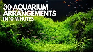 30 Stunning Freshwater Aquarium Designs in 10 Minutes  Aquaristic Vibes [upl. by Tenner733]