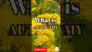 What is Autogamy shorts facts biology [upl. by Winny75]