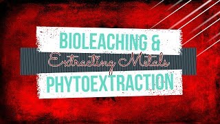 GCSE Chemistry 19 What are Bioleaching and Phytoextraction [upl. by Jemie387]