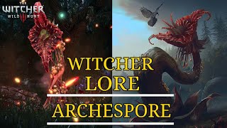 Witcher 3  Lore of ARCHESPORE  Mythology [upl. by Negrom686]