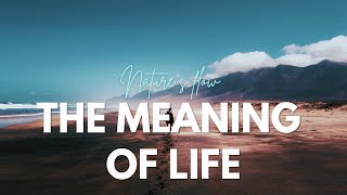 The Meaning of Life [upl. by Attemaj]