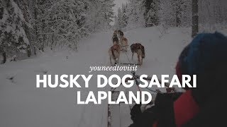 Husky Sledding on our Lapland Finland Adventure [upl. by Lemaj]