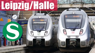 Doku SBahn Mitteldeutschland 2022 Das größte Netz in Deutschland [upl. by Brittany]