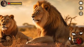 Lion Simulator  Offline Lion Family Simulator  Lion Family Game [upl. by Navarro105]