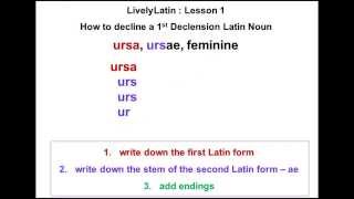 LivelyLatin Lesson 01 Declension of quotursaquot Silent Video [upl. by Waechter982]